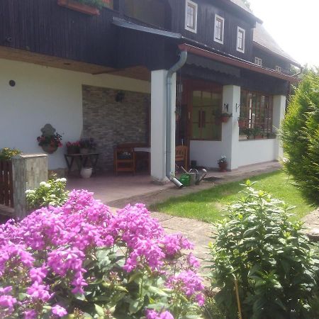 Ubytovani U Sviraku Srbska Kamenice Экстерьер фото